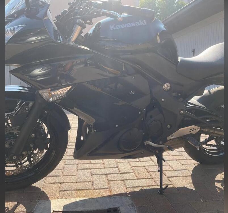 Kawasaki ER-6F (2009 - 11) (3)