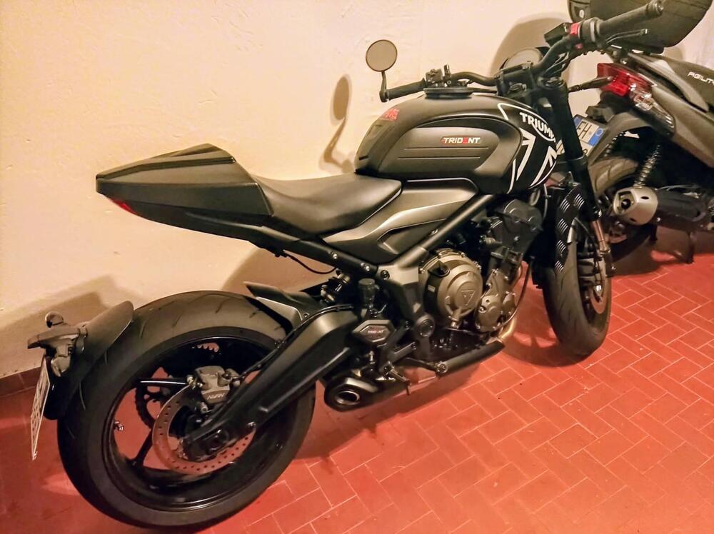 Triumph Trident 660 (2021 - 24)