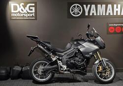 Triumph Tiger 1050 SE ABS (2006 - 13) usata