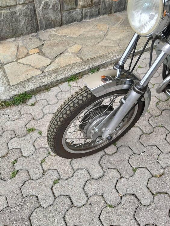 Moto Guzzi 250 ts (3)