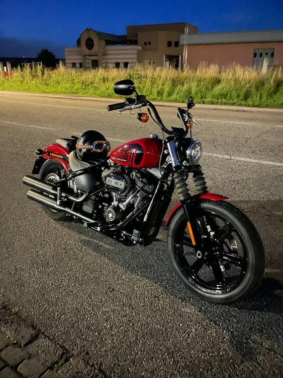 Harley-Davidson Street Bob 114 (2021 - 24)