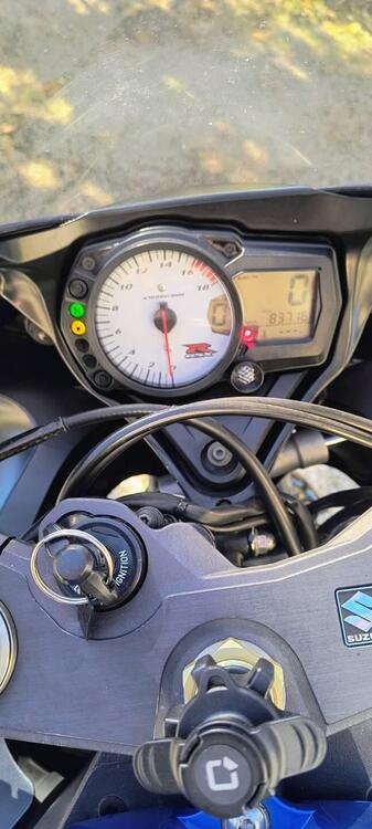 Suzuki GSX R 600 (2006 - 07) (5)