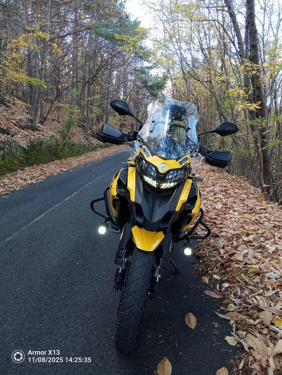 Benelli TRK 502X (2021 - 25) (4)