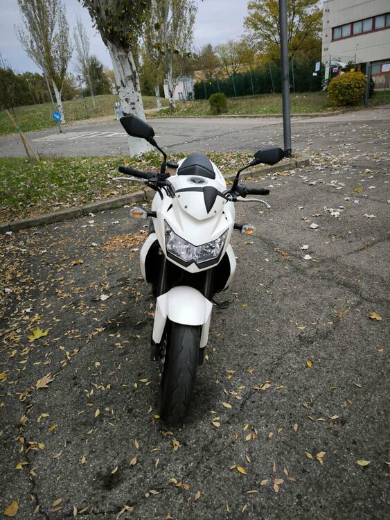 Kawasaki Z 750 (2007 - 14) (4)