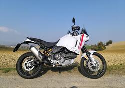 Ducati DesertX (2022 - 25) usata