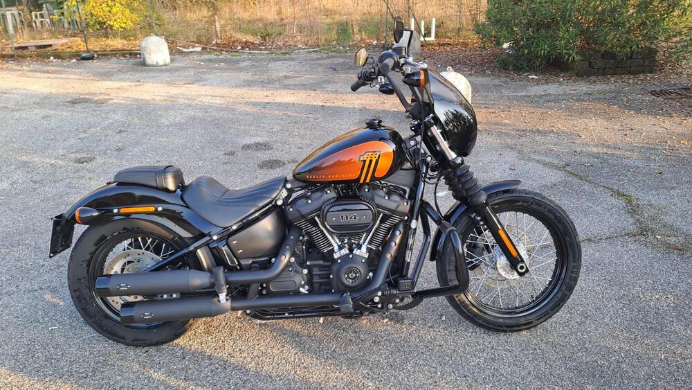 Harley-Davidson Street Bob 114 (2021 - 24)