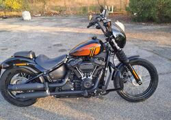Harley-Davidson Street Bob 114 (2021 - 24) usata