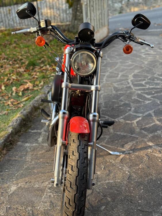 Harley-Davidson 883 R (2002 - 03) - XL 883R (3)