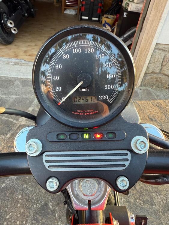 Harley-Davidson 883 R (2002 - 03) - XL 883R (5)