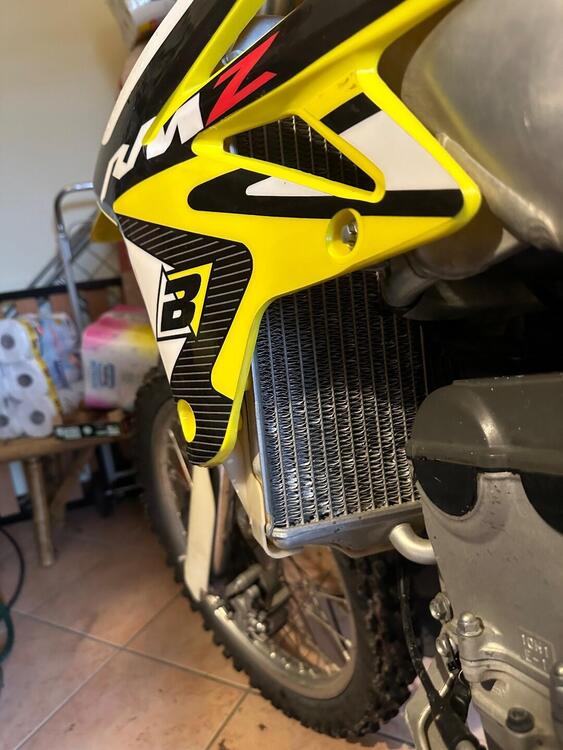 Suzuki RM-Z 250 (2008 - 11) (2)