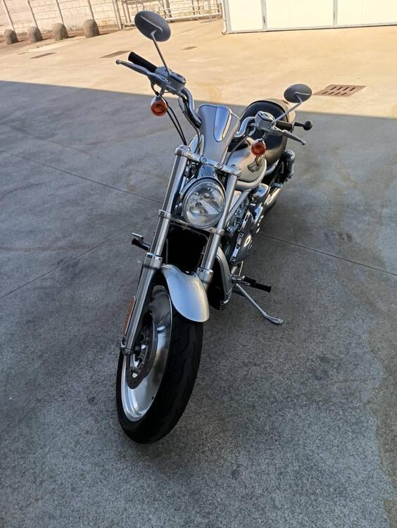 Harley-Davidson V-Rod VRSCA (2)