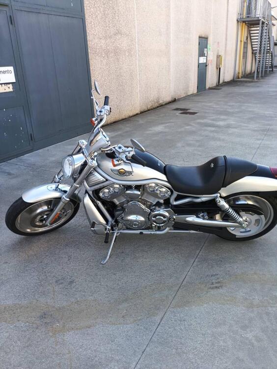 Harley-Davidson V-Rod VRSCA (3)