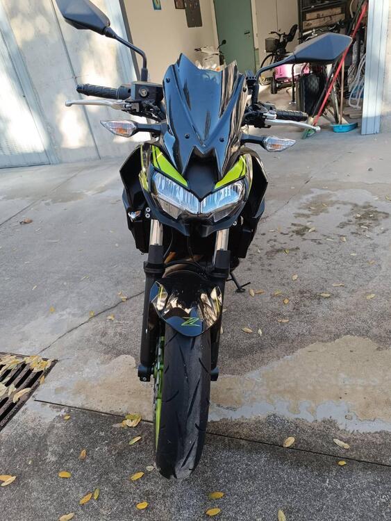 Kawasaki Z 650 (2021 - 24) (2)
