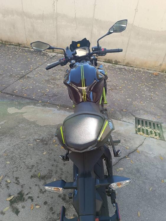Kawasaki Z 650 (2021 - 24) (4)