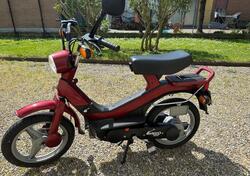 Piaggio Grillo 50 M RL AE usata