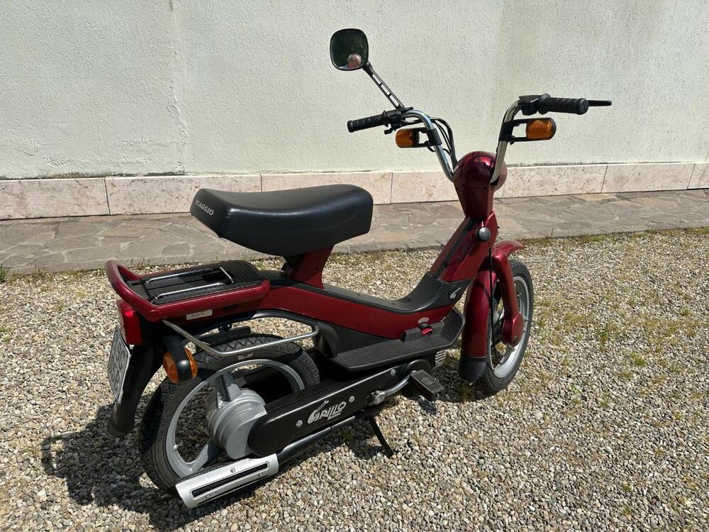 Piaggio Grillo 50 M RL AE (3)