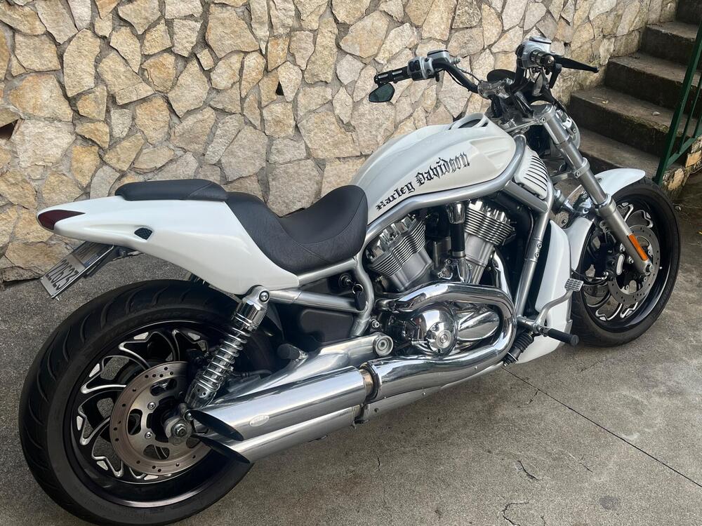 Harley-Davidson 1130 V-Rod (2002 - 05) - VRSCA