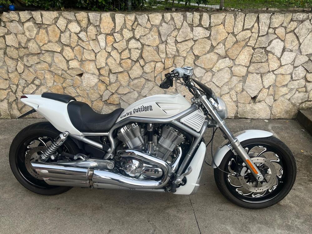 Harley-Davidson 1130 V-Rod (2002 - 05) - VRSCA (3)