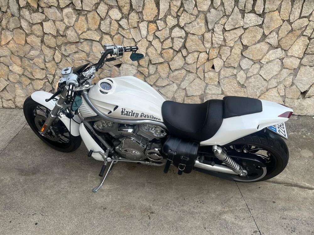 Harley-Davidson 1130 V-Rod (2002 - 05) - VRSCA (4)