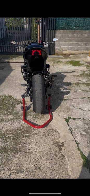 Kawasaki Z 900 SE Performance (2023 - 24) (3)