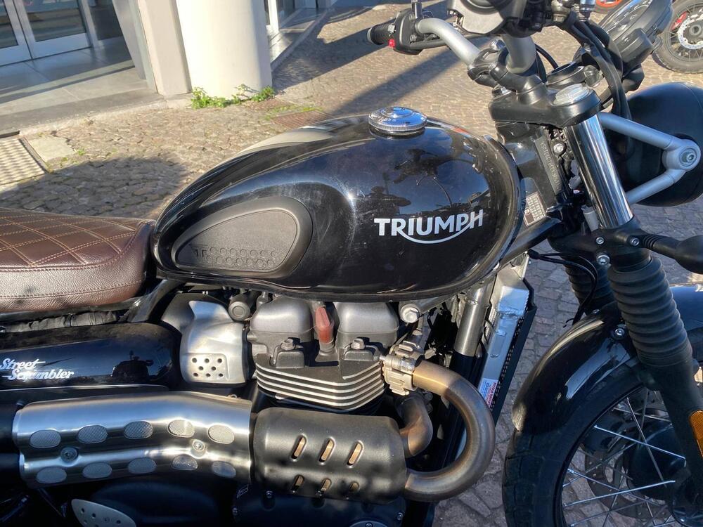Triumph Street Scrambler 900 (2019 - 20) (5)