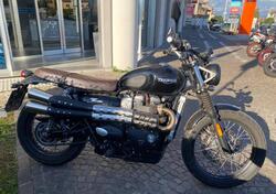 Triumph Street Scrambler 900 (2019 - 20) usata