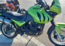 Triumph Tiger 955 (2002 - 06) usata