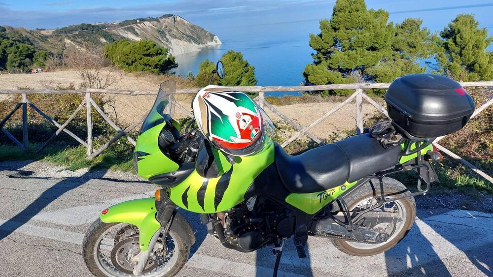 Triumph Tiger 955 (2002 - 06) (3)