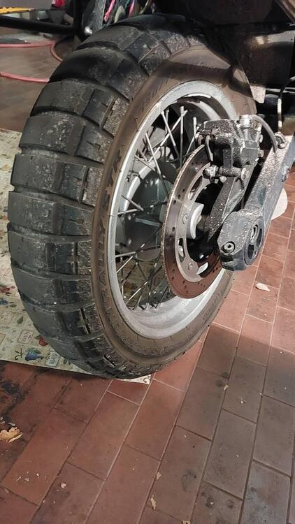 Triumph Tiger 955 (2002 - 06) (4)