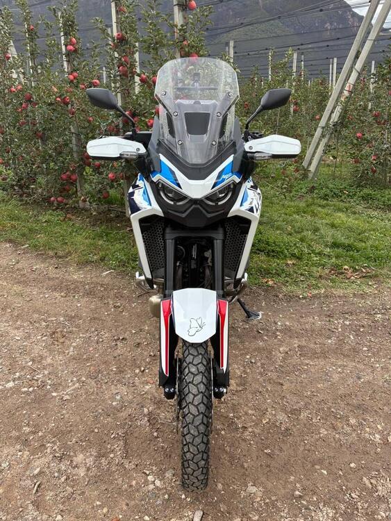 Honda Africa Twin CRF 1100L ES (2024 - 25) (3)