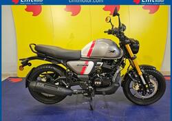 TVS Motor Ronin 250 (2024 - 25) nuova