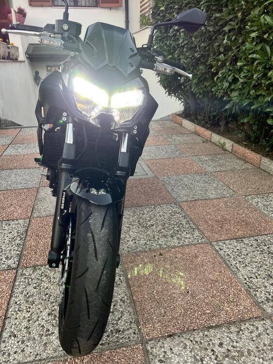 Kawasaki Z 650 (2025 - 26) (4)