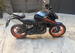 KTM 125 Duke (2024 - 26) usata