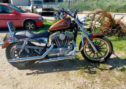 Harley-Davidson 883 Standard (2001 - 05) - XL 883 usata