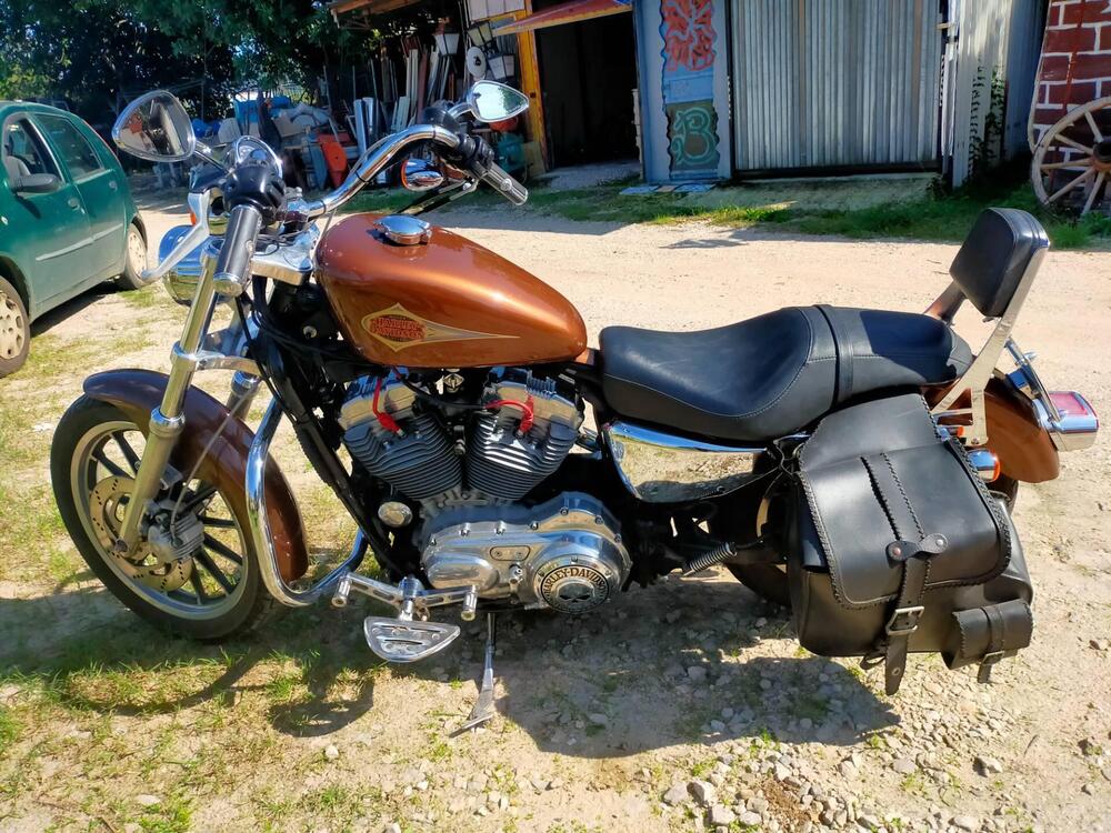 Harley-Davidson 883 Standard (2001 - 05) - XL 883 (2)