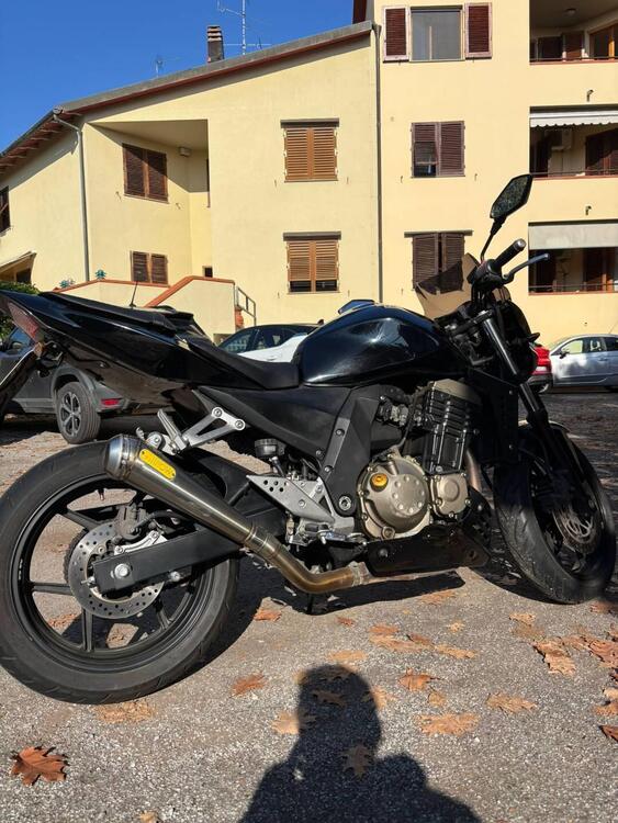 Kawasaki Z 750 (2003 - 06)