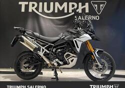 Triumph Tiger 900 Rally Pro (2024 - 25) usata