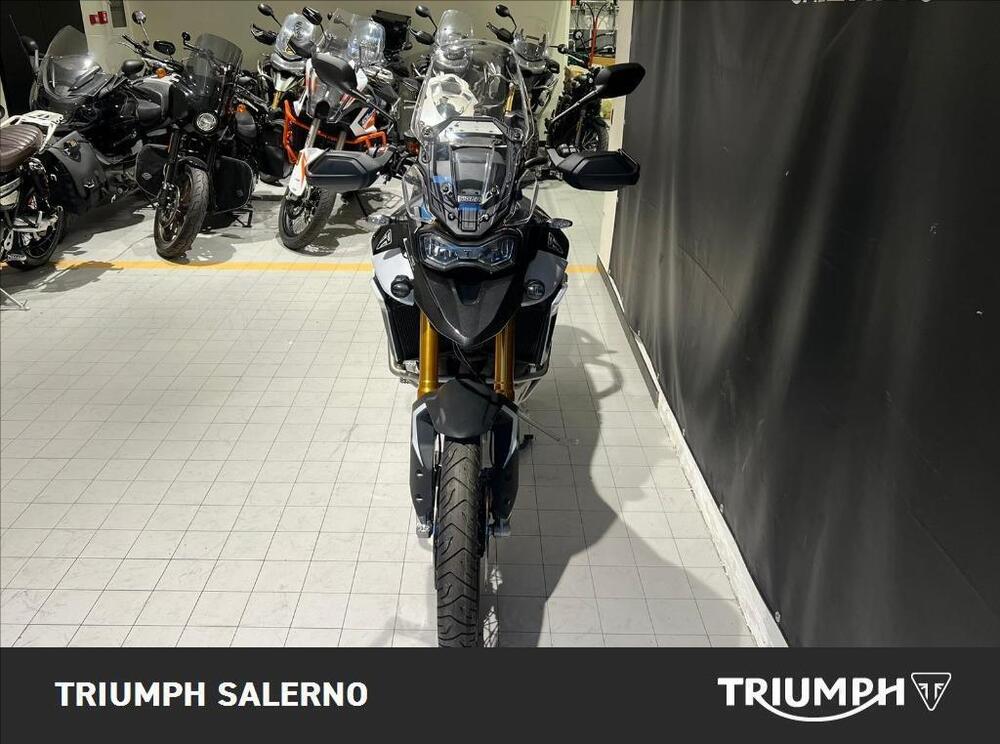 Triumph Tiger 900 Rally Pro (2024 - 25) (3)