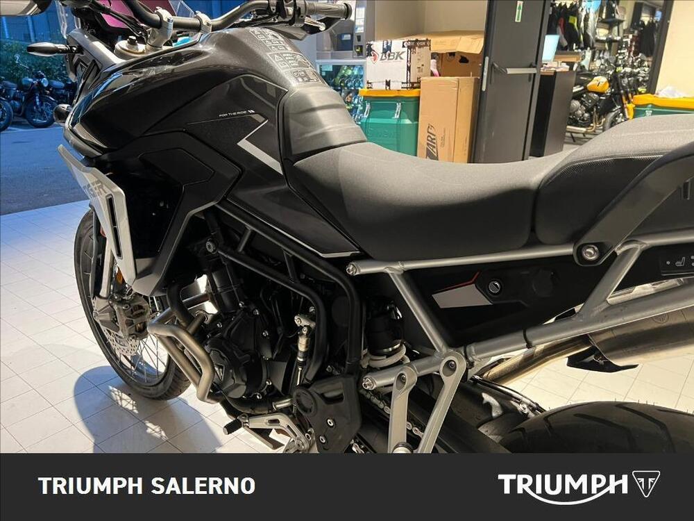 Triumph Tiger 900 Rally Pro (2024 - 25) (5)