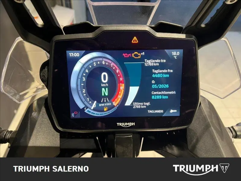 Triumph Tiger 900 Rally Pro (2024 - 26) (10)