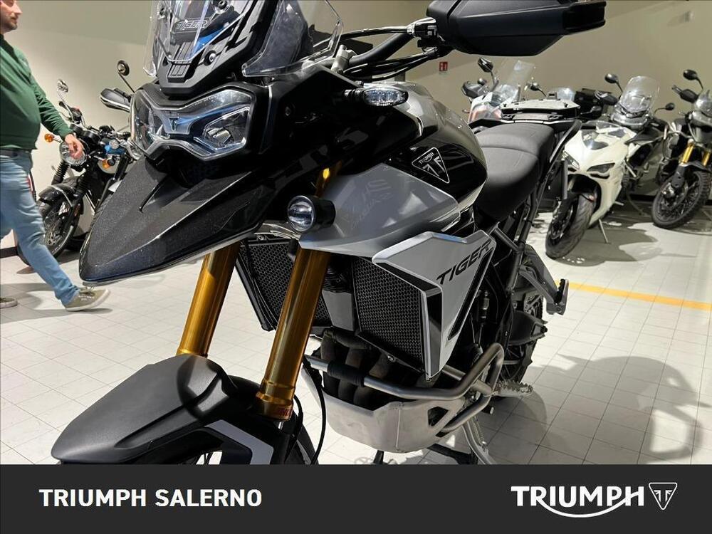 Triumph Tiger 900 Rally Pro (2024 - 25) (4)