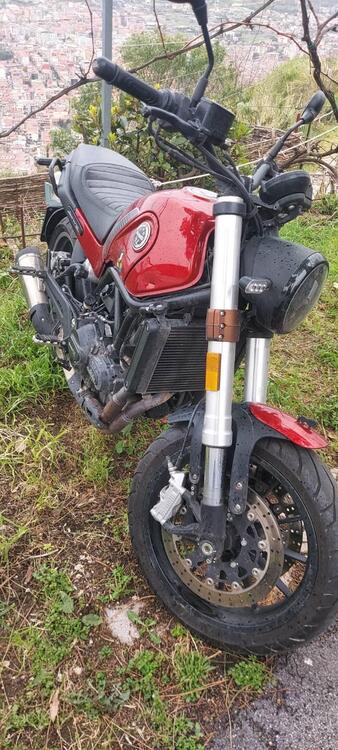 Benelli Leoncino 500 (2021 - 25) (3)