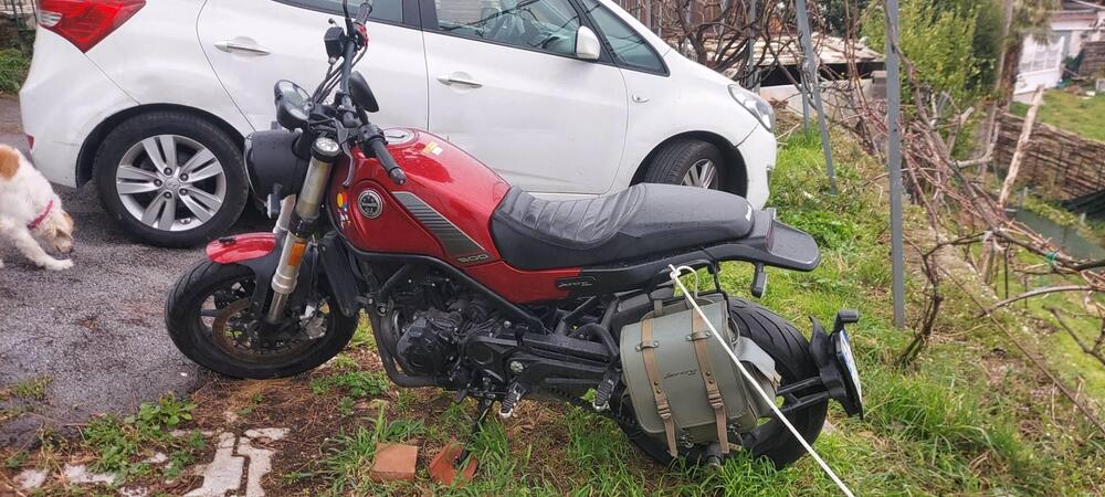 Benelli Leoncino 500 (2021 - 25)