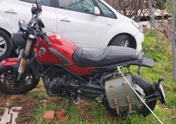 Benelli Leoncino 500 (2021 - 25) usata