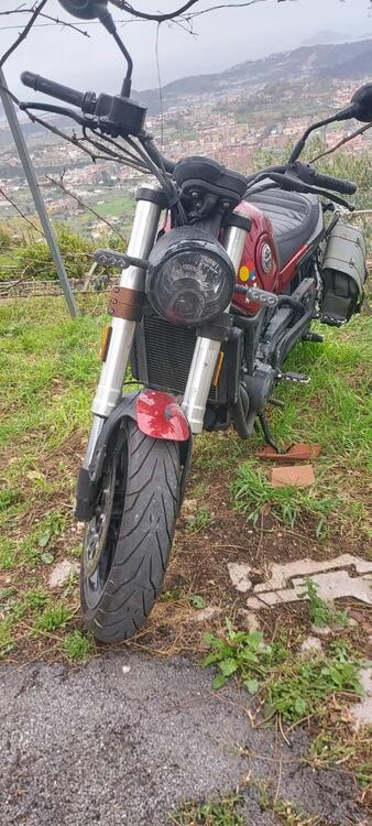 Benelli Leoncino 500 (2021 - 25) (5)