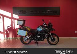 QJ Motor SRT 800 SX (2024 - 25) usata