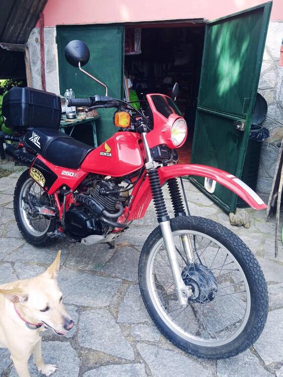 Honda Xr 250