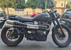 Triumph Street Scrambler 900 (2017 - 18) usata