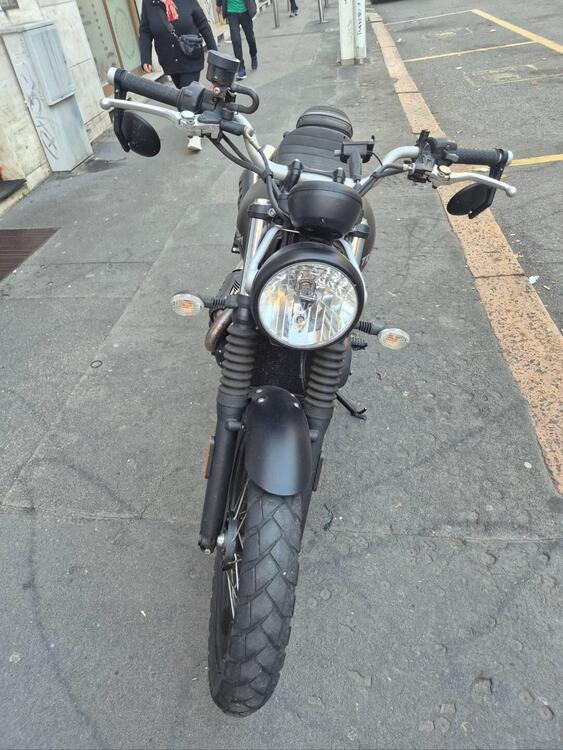 Triumph Street Scrambler 900 (2017 - 18) (3)