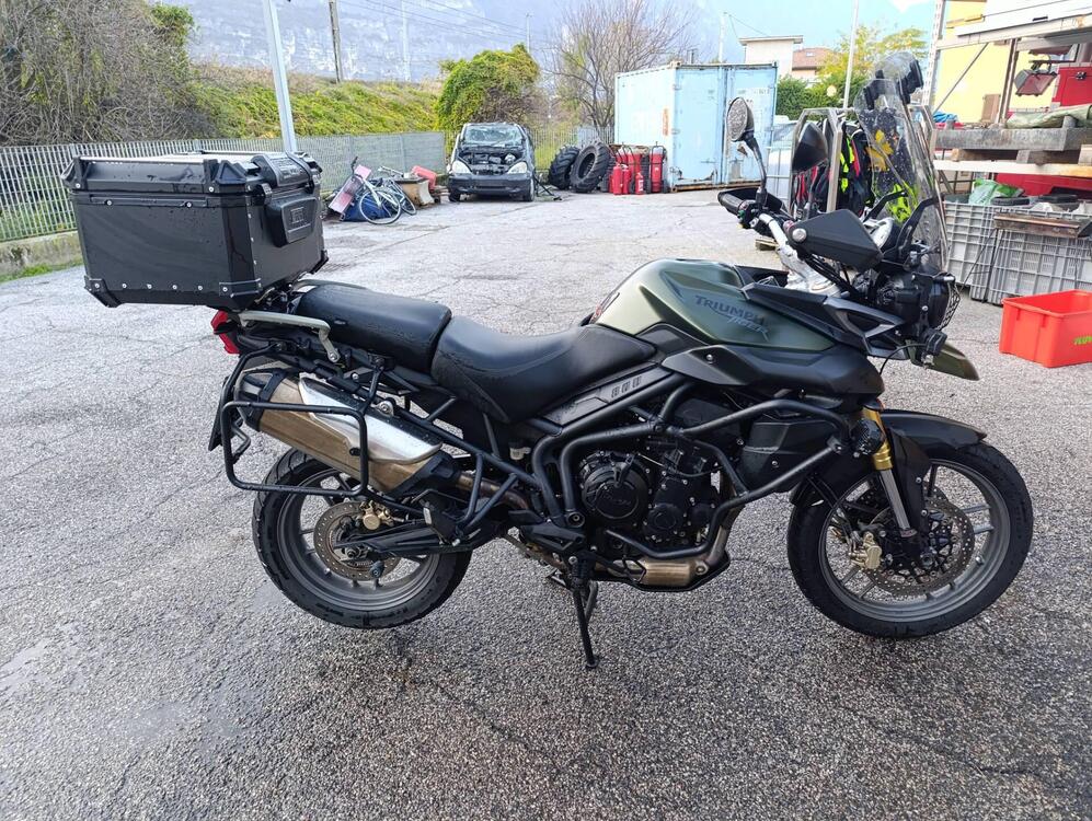 Triumph Tiger 800 ABS (2010 - 14) (2)